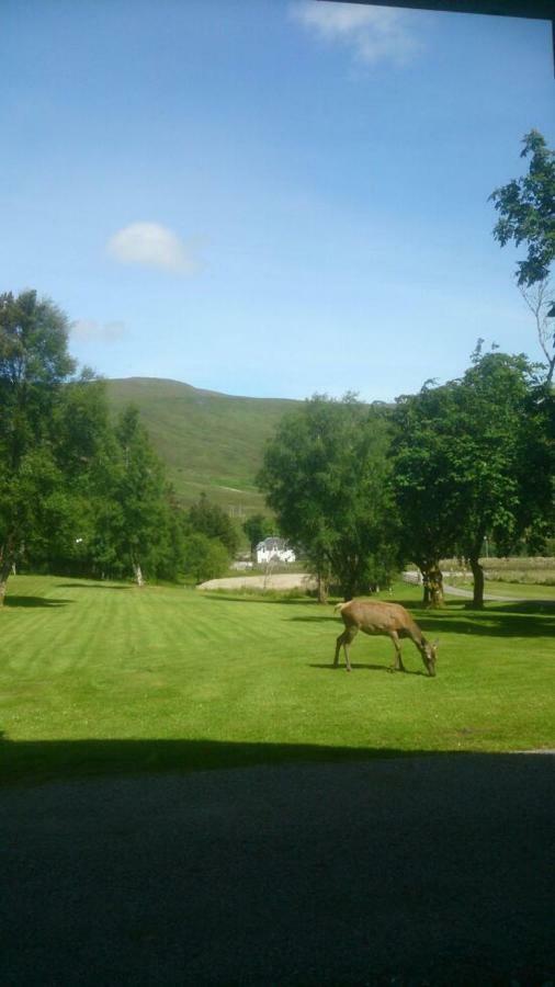 Ledgowan Lodge Hotel Achnasheen Buitenkant foto